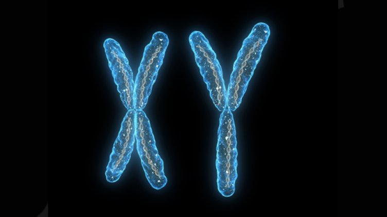 Носим ли ДНК от бивши любовници?