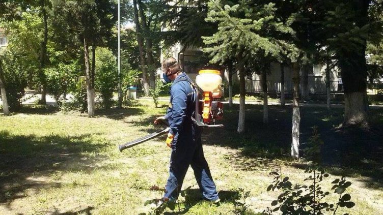 Продължава пръскането срещу комари във Варна