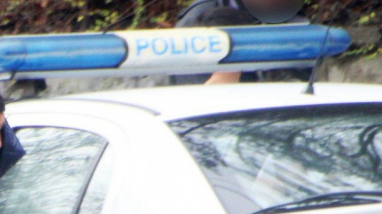 Детски играчки и коне крадат апаши във Варненско