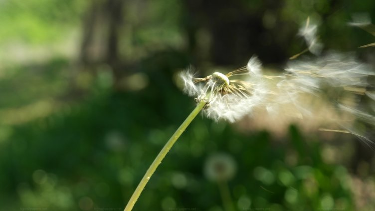 Ураганен вятър в Русе откъсна светофарна уредба