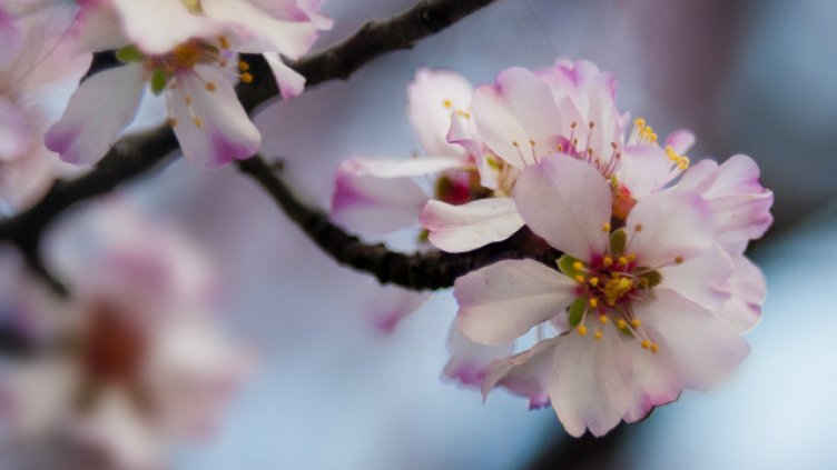 Прогноза за времето за 20 март на тв Черно море