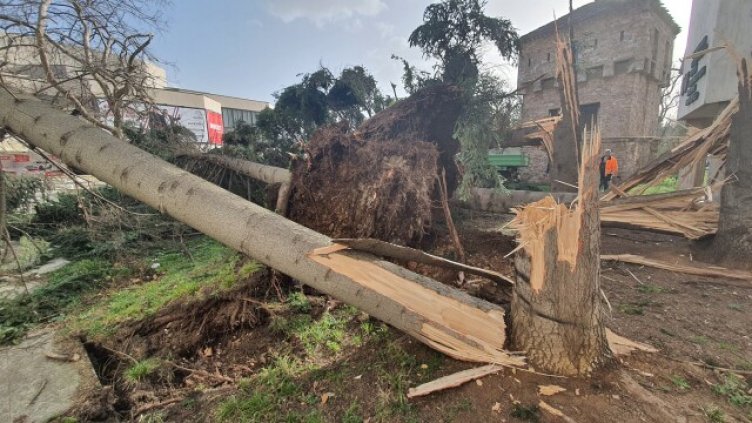 Вятър със скорост 160 км/ч помете Враца