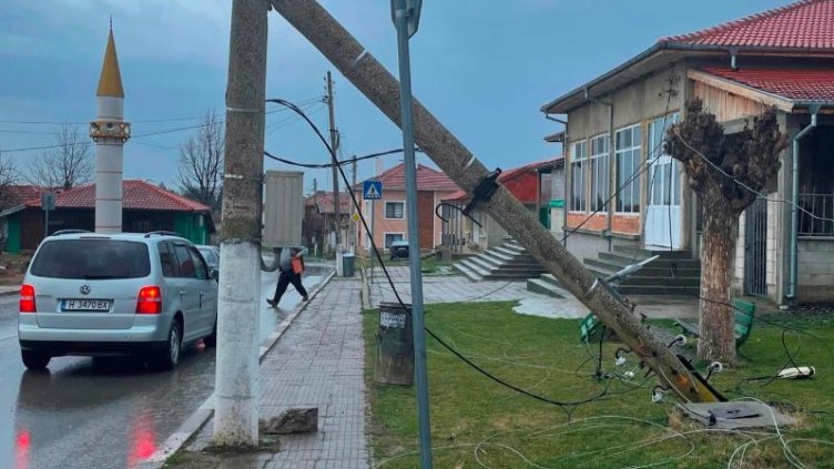 Изкоренено от вятъра дърво счупи ел. стълбове в Шуменско 
