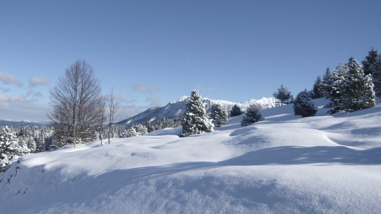 Снимка Pixabay