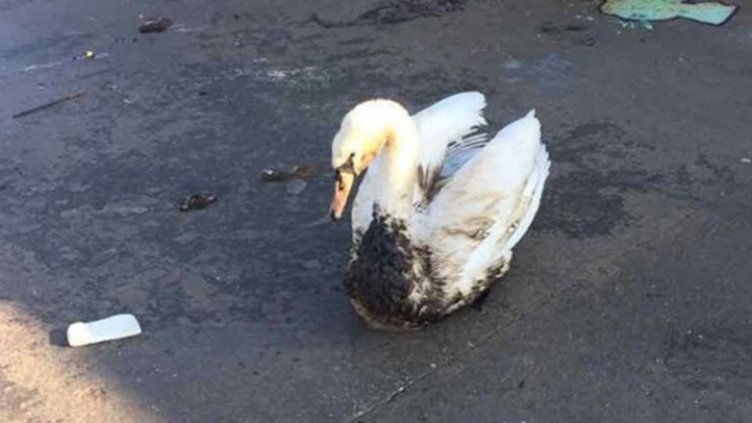 Снимка Monitor.bg