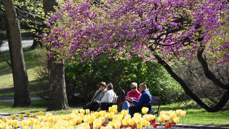 Слънчево и топло ще бъде във Варна на 1 май