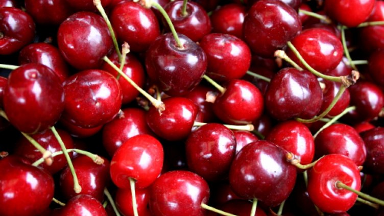 Студът унищожи почти 100 процента кюстендилските череши