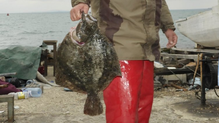 След калкана рибарите чакат цаца и сафрид