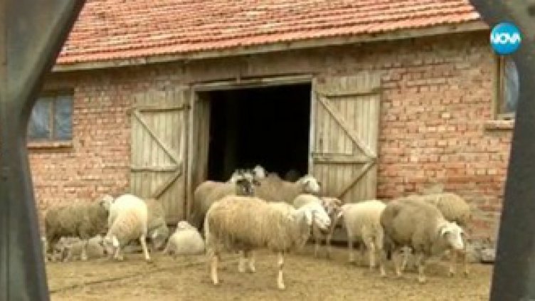 Иззеха 52 тона храни със съмнителен произход