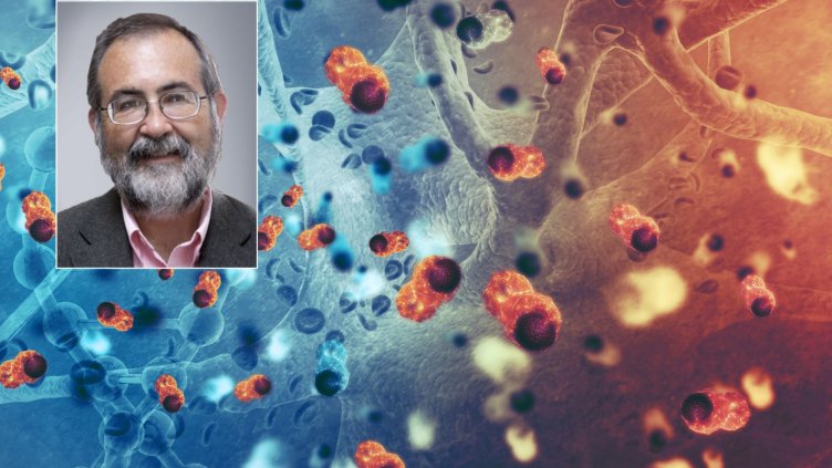 Проф. Левин - колаж dir.bg