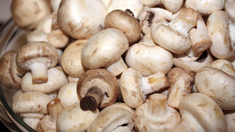 БАБХ не откри атропин в проби от гъби, яхния и подправки