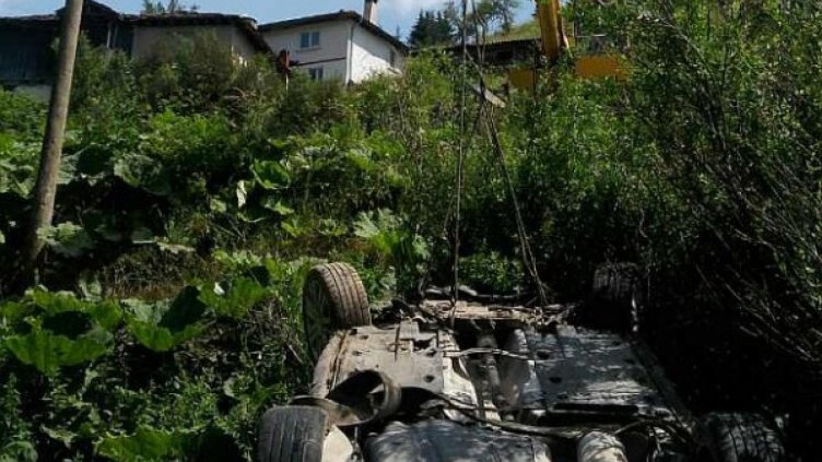 Снимка Дарик.