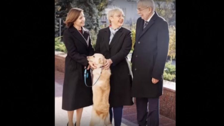 Кучето на президента на Молдова ухапа австрийския държавен глава (ВИДЕО)