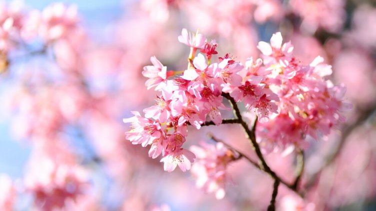 Ясен и топъл ден днес 