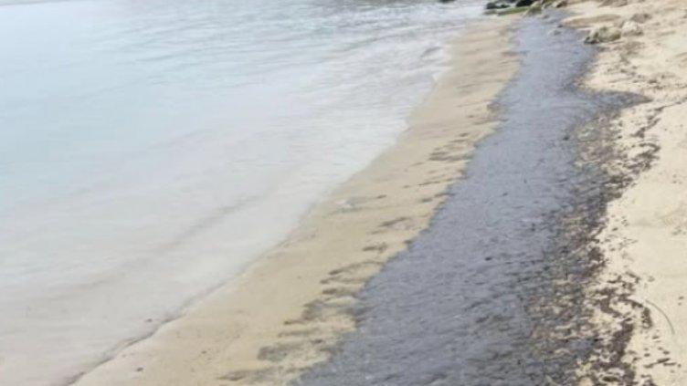 Скрили данни за замърсяването с мазут на варненския плаж?