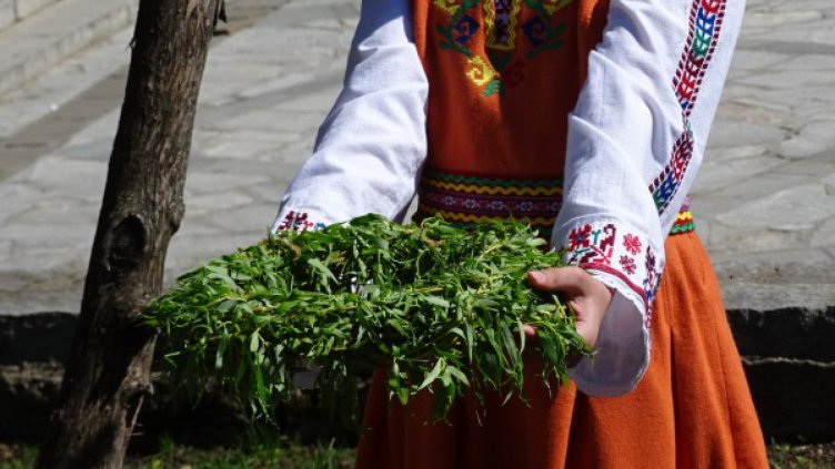 Цветница е! Празникът ще мине без върбови клонки