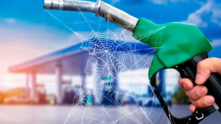 Може и да звучи като фалшива, но е факт: Паяжини с паяци в резервоара!