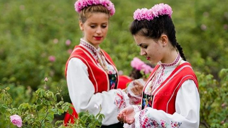 Розопроизводители ще получат държавна помощ “де минимис”
