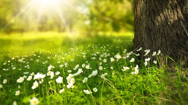 Днес е Светла Събота - не се пере и не се шие!