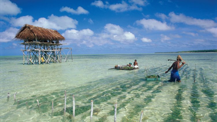 ООН призова за спешни мерки срещу климатичните промени