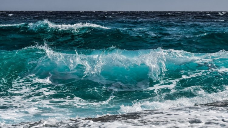 Откриха тялото на белгиец, паднал от яхта във Варна  