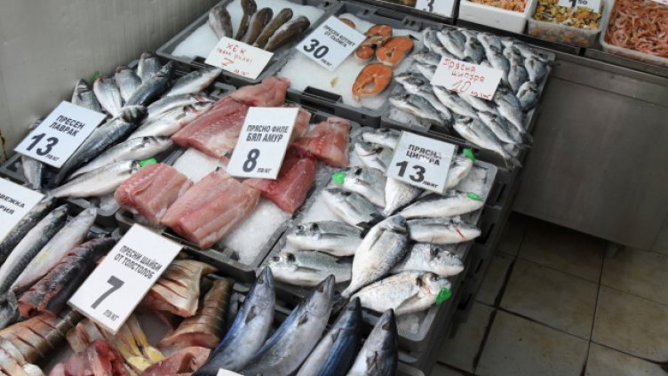 Риби от Бяло море се ловят около ТЕЦ – Варна