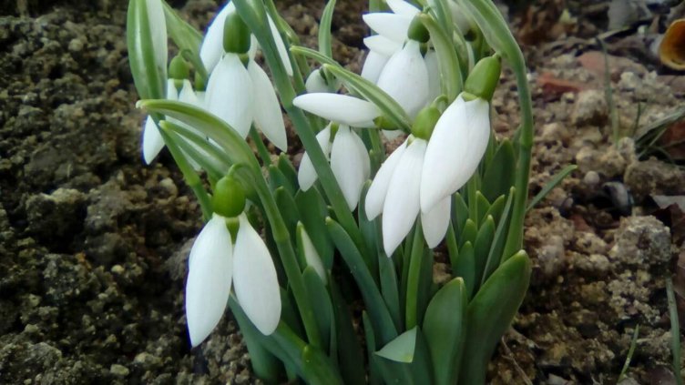 снимки: Десислава Димитрова