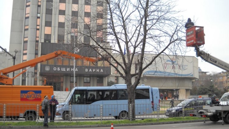 Премахват опасни дървета до сградата на община Варна