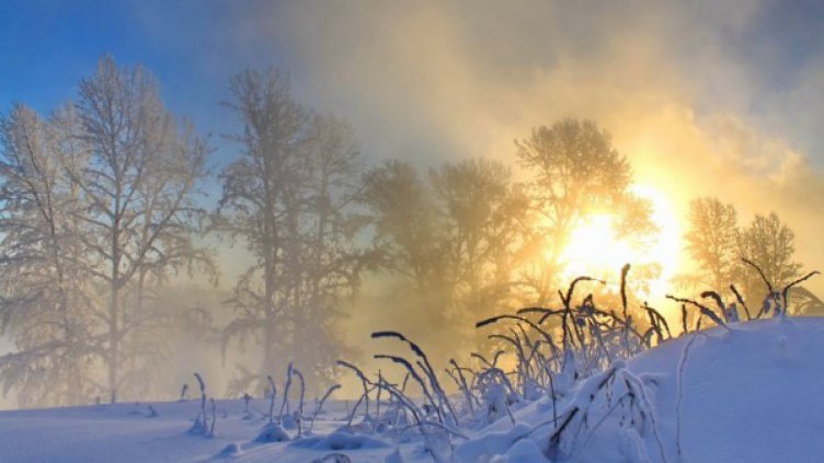 Януарска пролет: Температурите стигат до 14°C