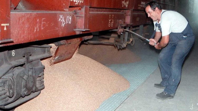 По-слаба реколта от пшеница очакват в Добруджа