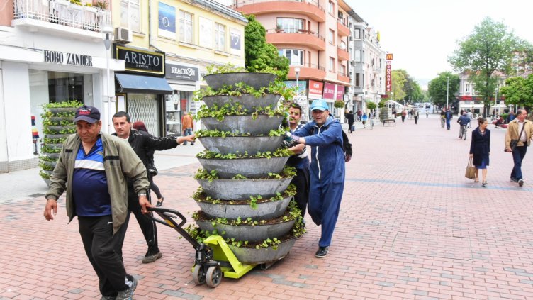 Китни цветарници ще красят центъра на Варна