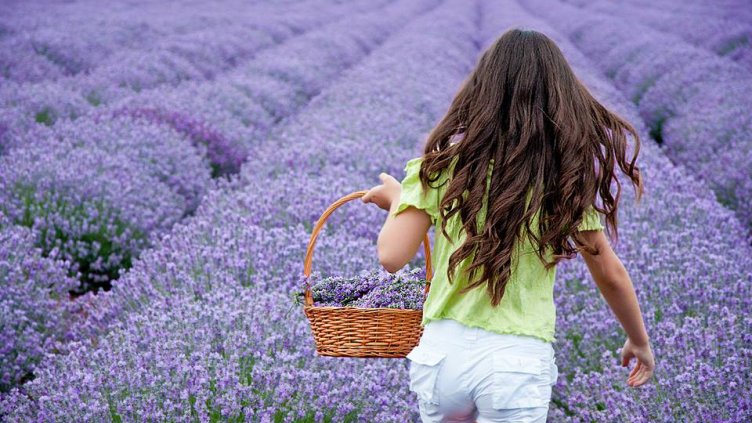 Снимка: Ели Маринова