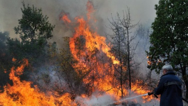 Пожарникари, доброволци и горски следят пожара над Чипровци