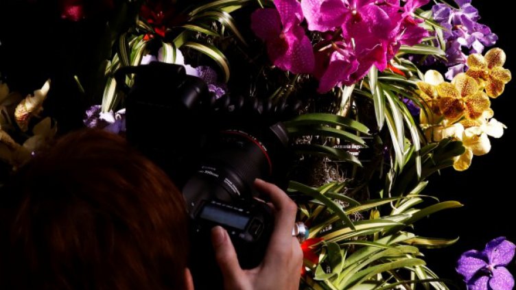 Орхидея и таралежова гъба - новите видове за 2018 г.