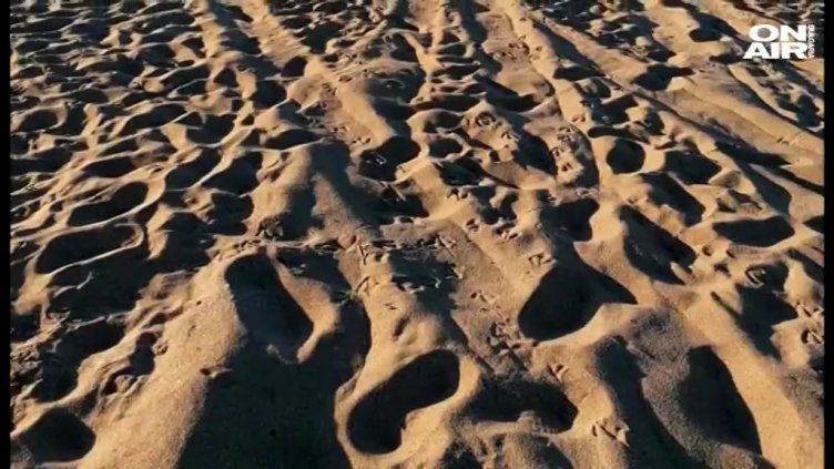 АТВ-та из Аркутино и Алепу, унищожават дюни в защитените местности