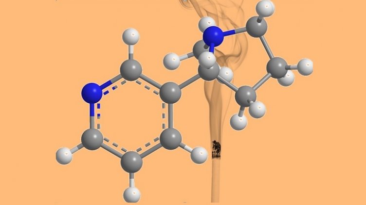 Никотинът не е основният виновник за заболяванията, свързани с пушенето