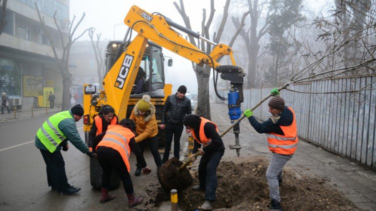 Акция за пролетно засаждане на дървета и храсти започва във Варна