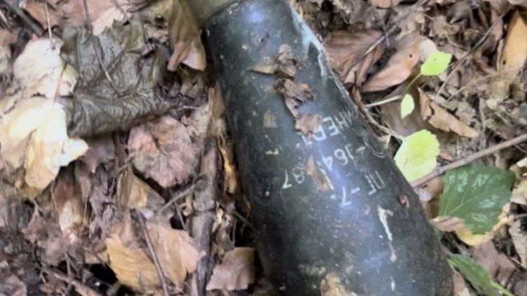 Куче изрови базука от гора край София 