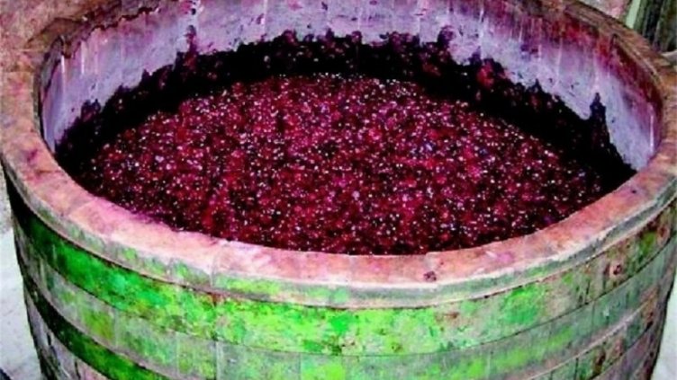 Виц на деня - 23 септември