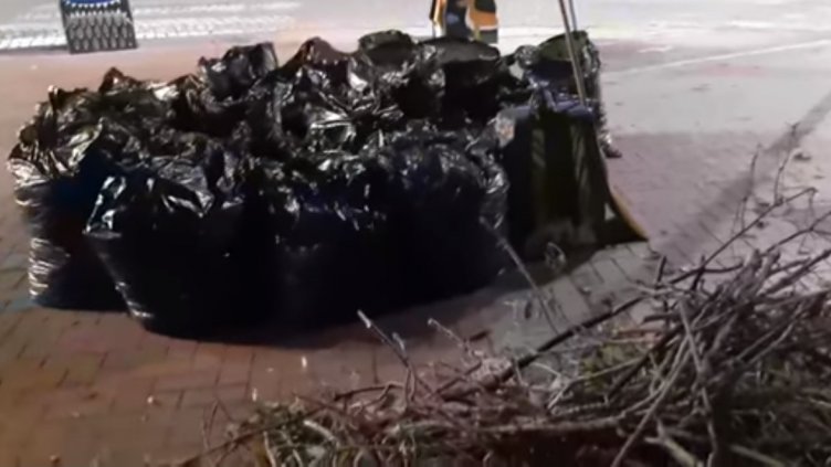 За пример: Варненец запретна ръкави и почисти около дома си след урагана (ВИДЕО)