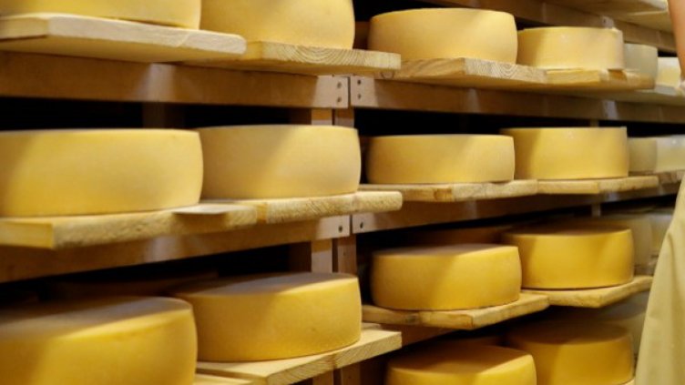 Все повече химия в сиренето, маслото, кашкавала, киселото мляко