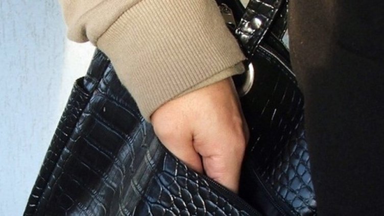 Осъдиха Графиня от Криводол за серия кражби