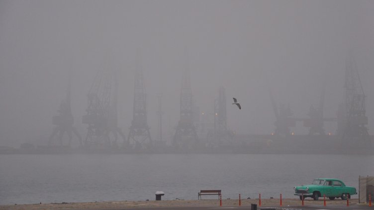 Снимка Пламен Гутинов