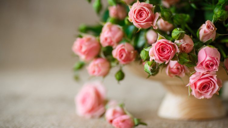 Днес имен ден празнуват Магдалена, Магда, Меглена, Малена, Миглена