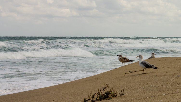 Дете едва не се удави в Приморско, с опасност за живота е