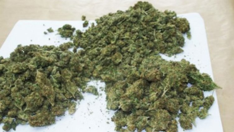 Двама с марихуана спипаха при проверка в Провадия