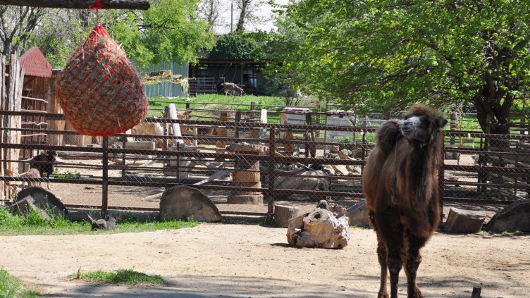 Ученици празнуваха Международния ден на Земята във варненския зоопарк
