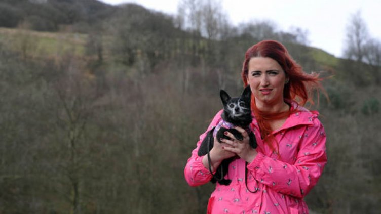 Дрон откри изгубено кученце