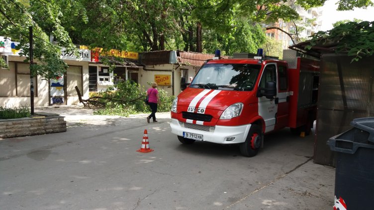 Клон се срути върху заведение във Варна (СНИМКИ)