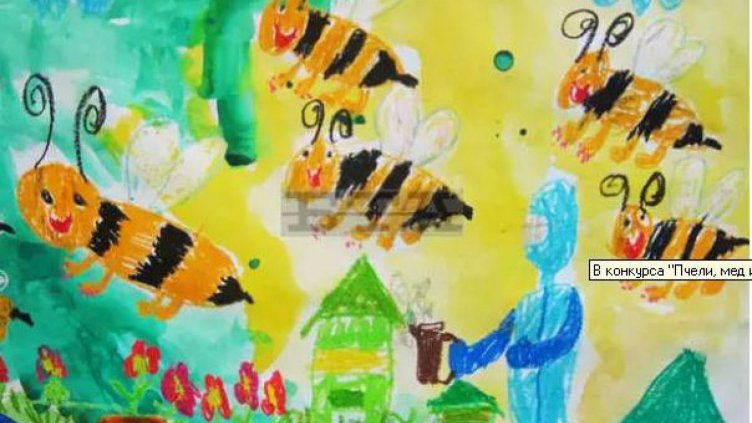 Варна с награди от конкурса "Пчели, мед и здравословен начин на живот" 
